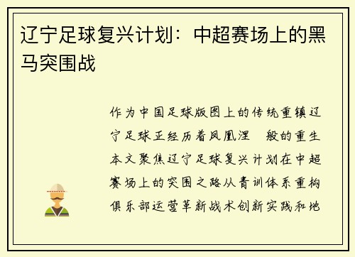 辽宁足球复兴计划：中超赛场上的黑马突围战